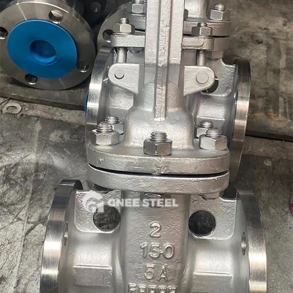 Duplex Stainless Steel Gate Valve