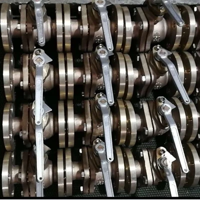 ASTM B148 C95800 שסתום כדור צף, API 608, C83600, C84400 משלוח לאזרבייג'ן